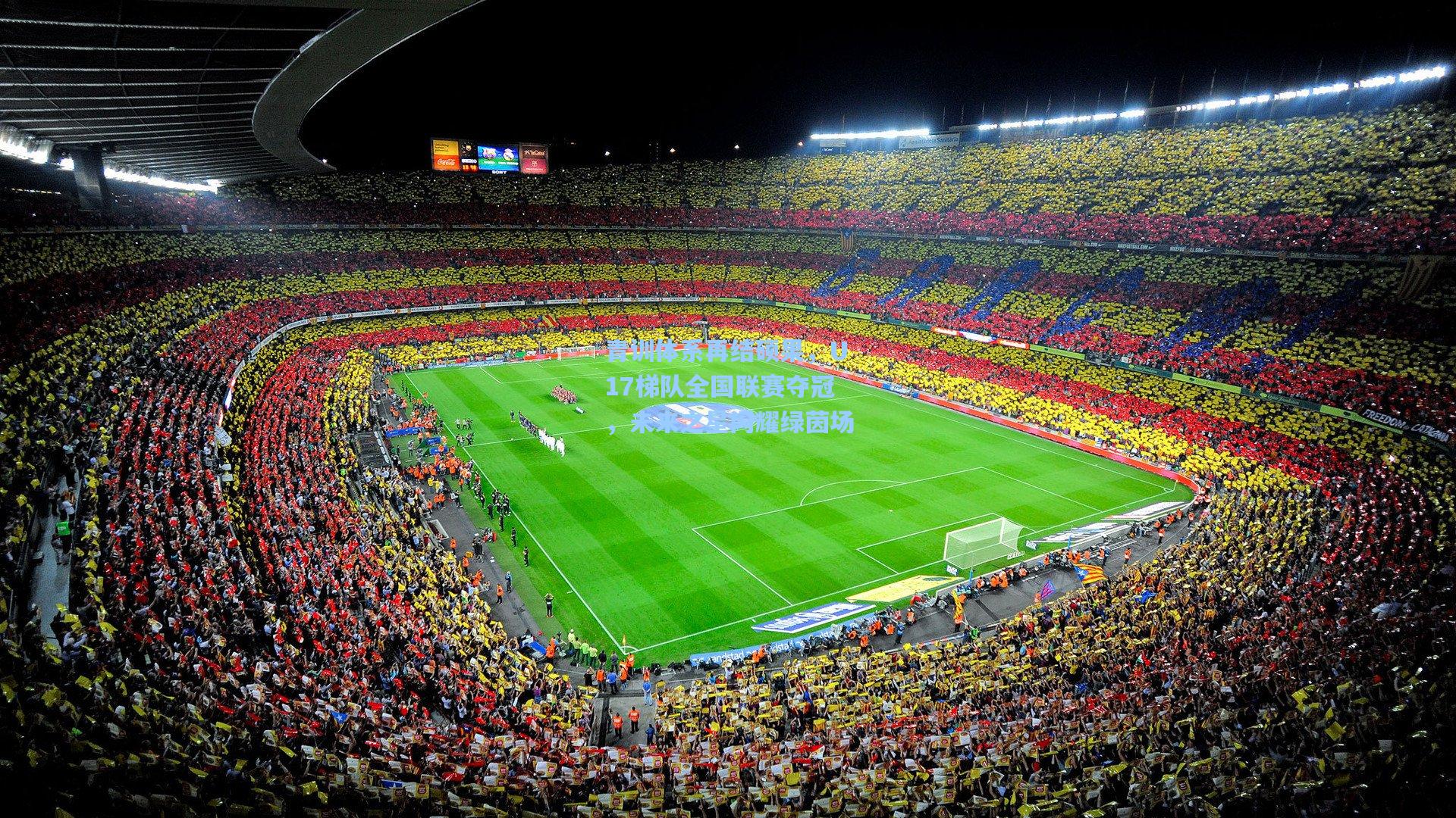 青训体系再结硕果，U17梯队全国联赛夺冠，未来之星闪耀绿茵场